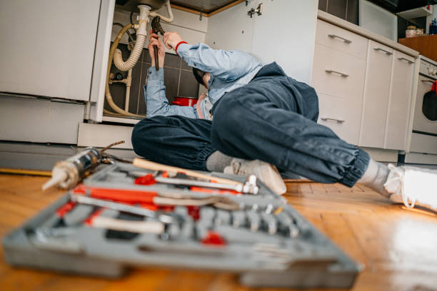 Best Plumbing Inspection Services  in Wfield, IN